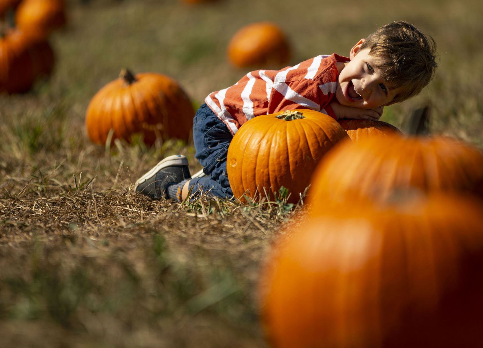100619-news-pumpkinpatch 01.jpg